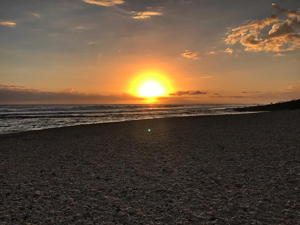 Le Petrel Blanc - Appartement Sur La Plage De La Souris Blanche Les Trois-Bassins Kültér fotó