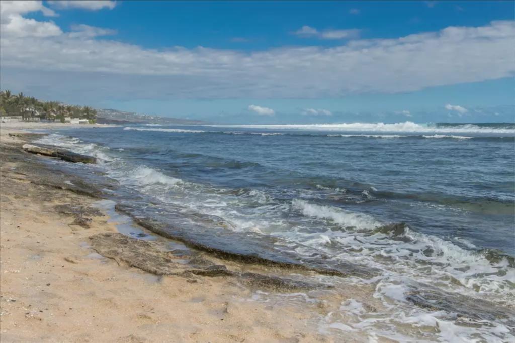 Le Petrel Blanc - Appartement Sur La Plage De La Souris Blanche Les Trois-Bassins Kültér fotó